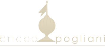 logo-bricco-pogliani-chiaro-copia.png